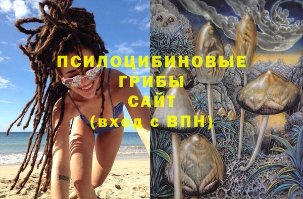 стафф Инта