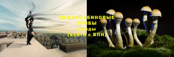 хмурый Иннополис