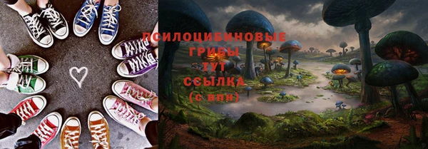 хмурый Иннополис
