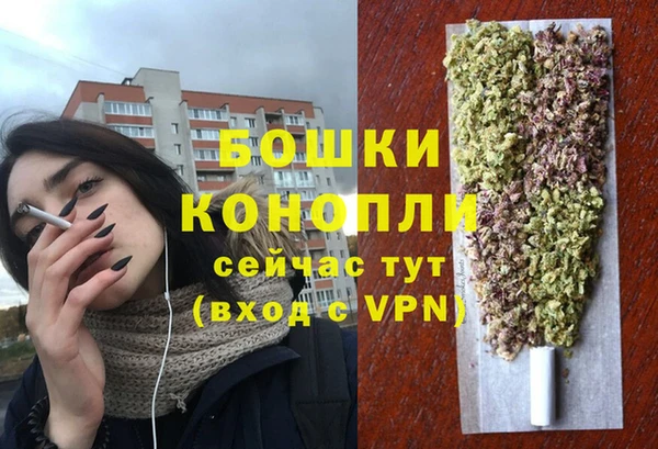 ешки Инсар