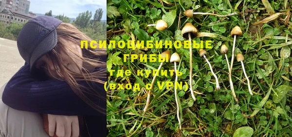 стафф Инта