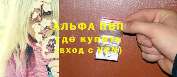 стафф Инта
